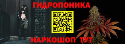 гидра Аргун