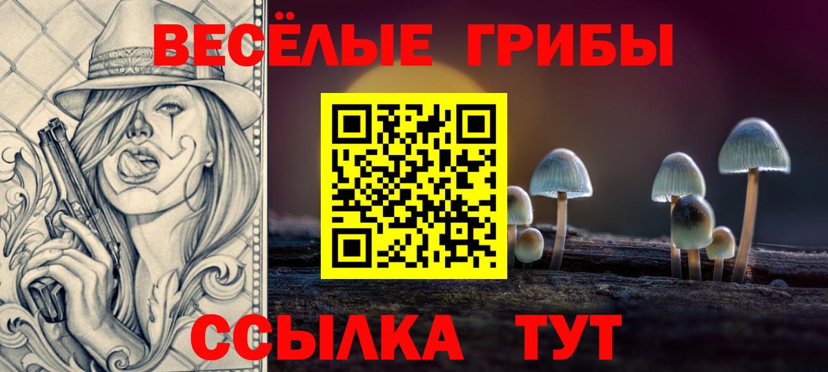 Псилоцибиновые грибы мицелий Балаково
